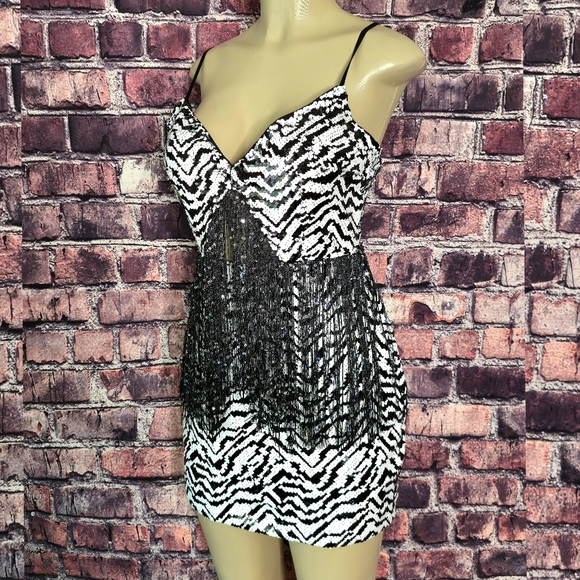 Wild Nights Zebra Sequin Fringe Dress - Picture 3 of 9
